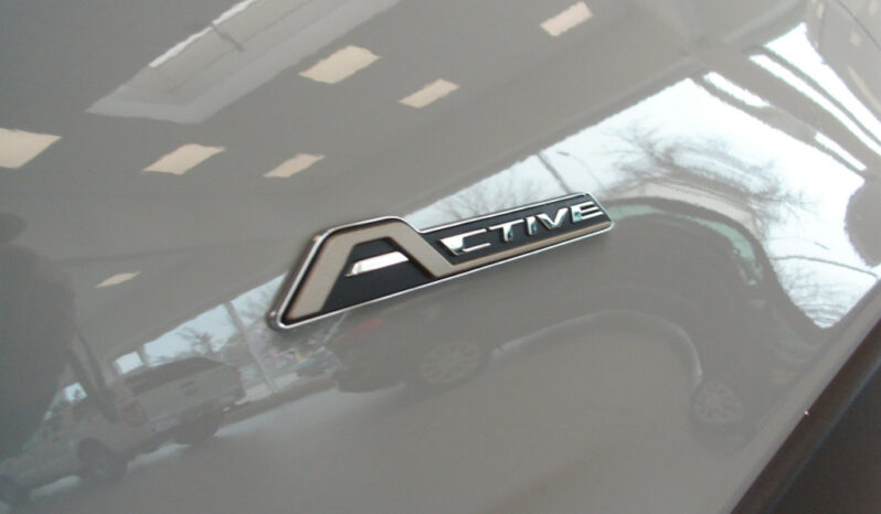 Ford Ecosport Active 1l 125PS Aut. voll